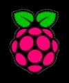 Raspberry Pi