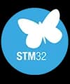 STM32 MCU