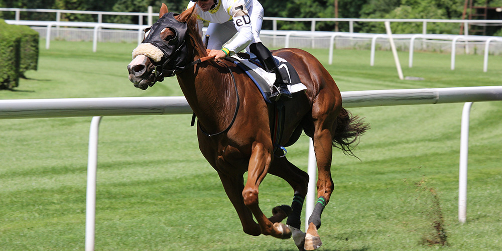 Race Horse Running with Motion Tracker